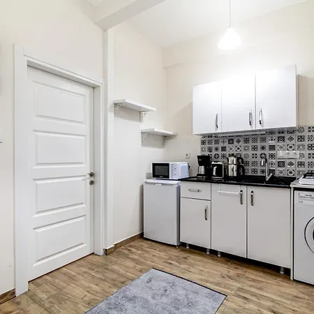 And Modern Flat Near Flower Passage 公寓 伊斯坦布尔