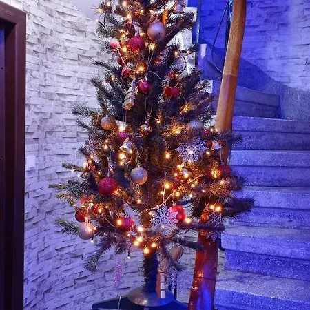 Sevil Guest house Istanbul