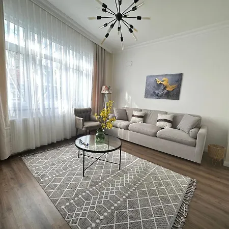 Center Of In Besiktas 2 1 With 2 Bathroom And 3 Air Conditioner Appartement *