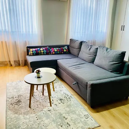 Modern , Spacious, Duplex Apartment Istanbul