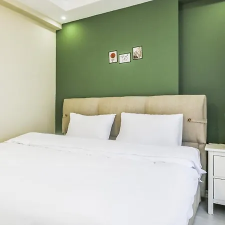 Flat Close To Shopping Malls In Kagithane Apartment