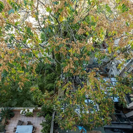 公寓 Outstanding Flat With Calming View Nisantasi