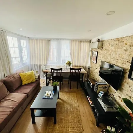 Terrace Flat In The Kadikoy Center 公寓