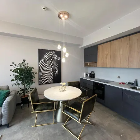 Apartment Sinpas Time Rezidanz 1+1 Istanbul