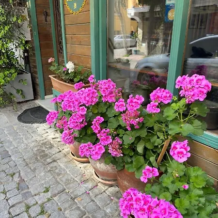 特瑞斯住宿加早餐旅馆