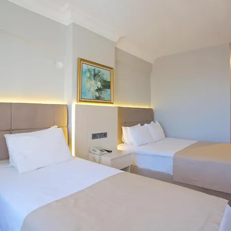 Grand Ant Provincia di Istanbul