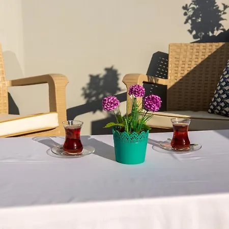 Hotell Albatros Hagia Sophia Istanbul