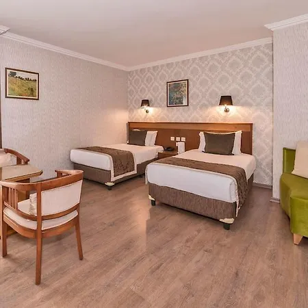 Four Sides Taksim Lion Hotel&spa מלון