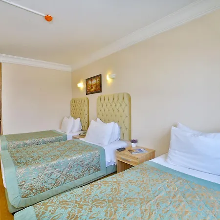 Grand Ant Provincia di Istanbul