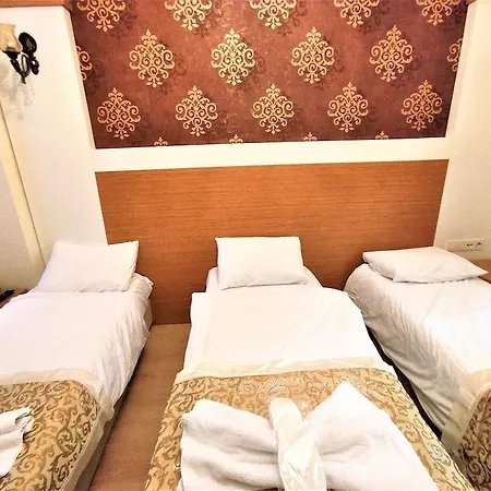Hotel Raimond 3*