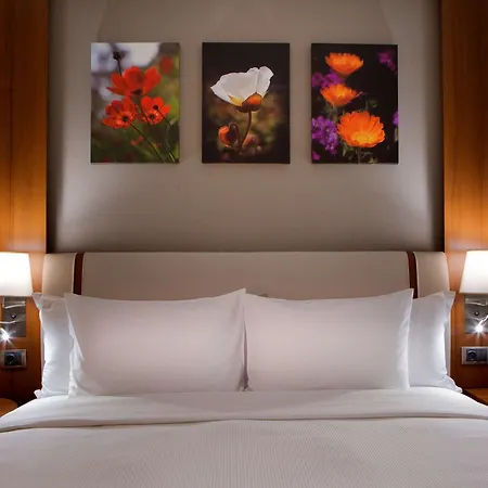 Hilton Garden Beylikduzu Hotel Provincia di Istanbul