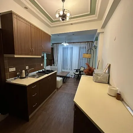 Apartment Historical Mansion