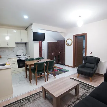 公寓 3+1 House With Garden In The New Building 伊斯坦布尔