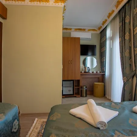 Sayina Hotel 3*