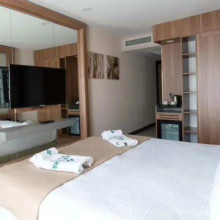 Four Sides Taksim Lion Hotel&spa מלון איסטמבול