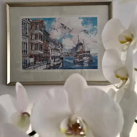 Appartamento Cozy And Modern Flat Near Bosphorus At Arnavutkoey Provincia di Istanbul