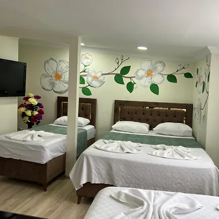 Sultanahmet Blue Hotel Provincia di Istanbul