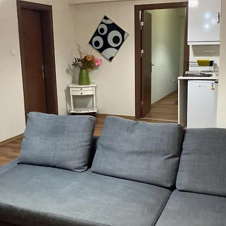 Dlk Deluxe Apartment Istanbul