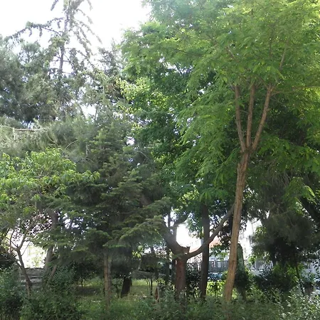 Omar Sultan Park Szálloda *