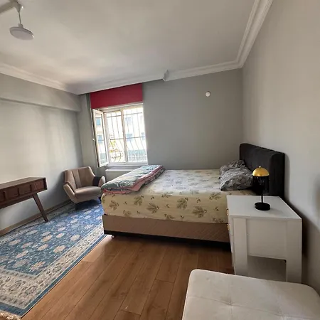 Transit 7 * Provincia di Istanbul