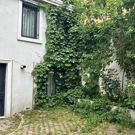 Cozy Garden-level Near Taksim Apartment Istanbul