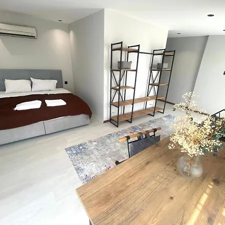 公寓 Double With A Big Balcony And View 51 *