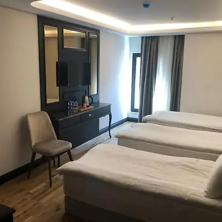 فندق وسبا بالدي 4*