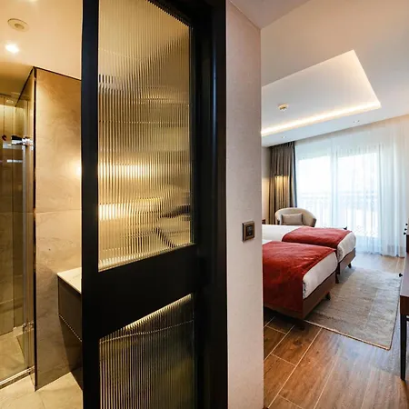 Hotel Levni Premium Old 4*