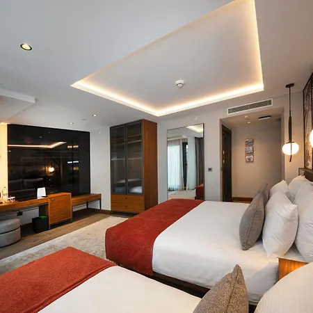 Hotel Levni Premium Old Provincia di Istanbul