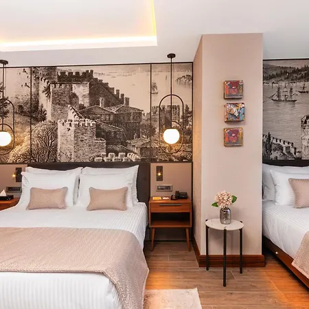 Levni Premium Old 4* Provincia di Istanbul