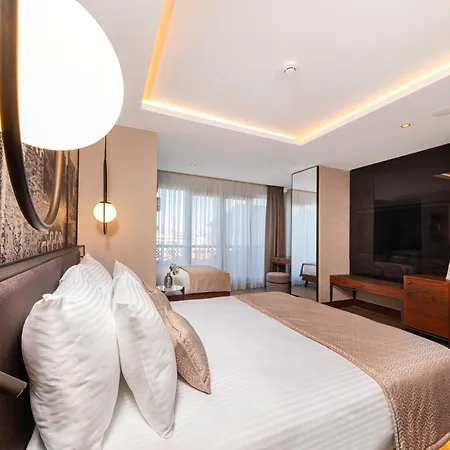 Levni Premium Old Provincia di Istanbul