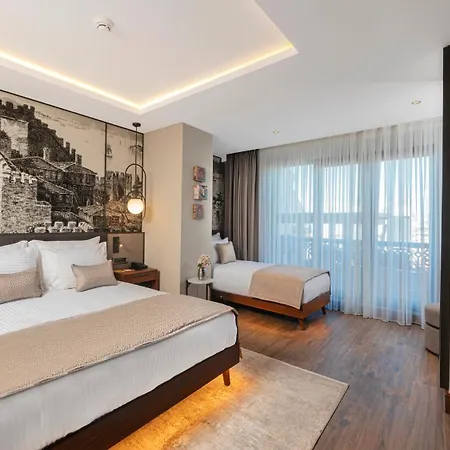Levni Premium Old 4* Provincia di Istanbul