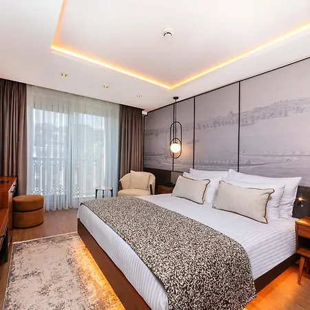 Levni Premium Old Hotel Provincia di Istanbul