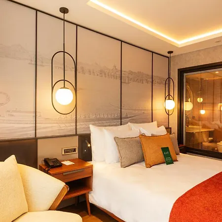 Levni Premium Old 4* Provincia di Istanbul