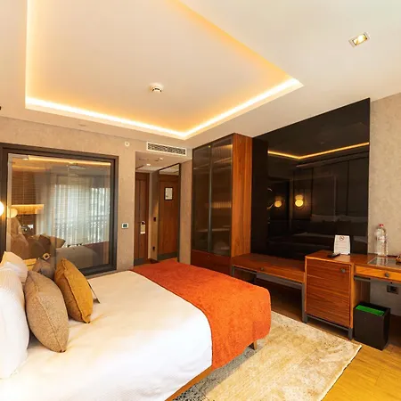 Levni Premium Old 4* Provincia di Istanbul