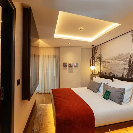 Hotel Levni Premium Old Provincia di Istanbul