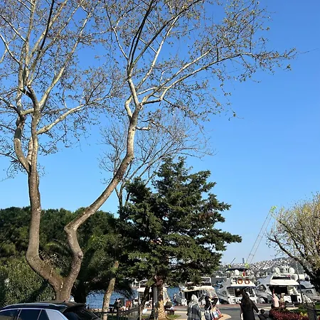 Triplex With Sea View Campsite