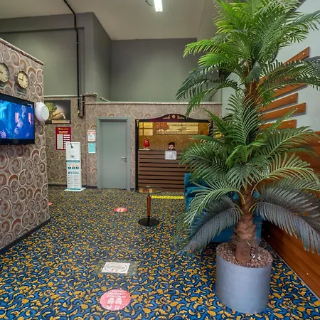 216 Hill Hotel