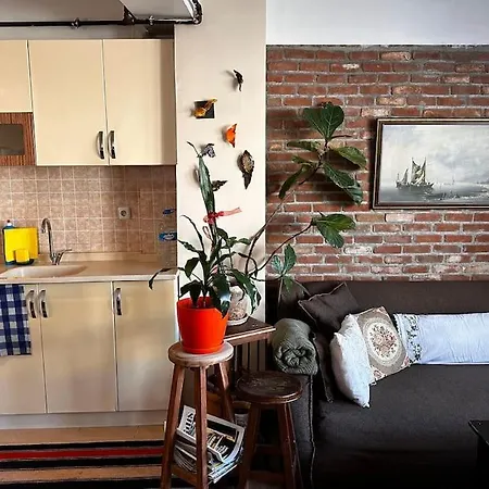 Cozy Flat To Taxim, Beyoglu, Pera, Galata Apartment *