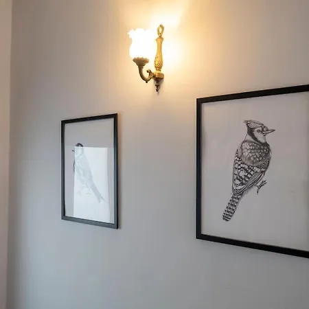 Spacious Dublex In Cihangir Apartamento