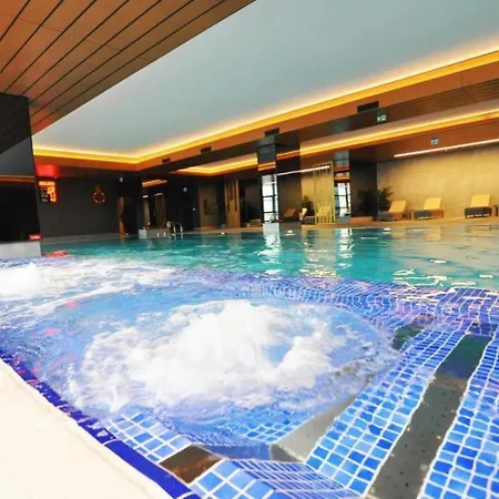Apartment Beautiful Bright Deluxe 1bd Poolviews! #311