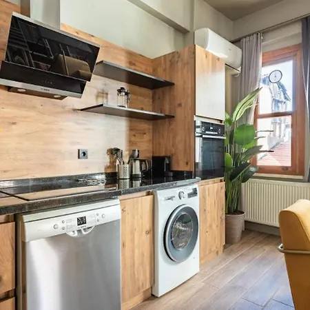 Beautiful Bright Cool Modern 1bd Balat Loft! #329 Apartment Istanbul