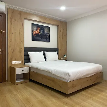 Aras Life 3* Istanbul