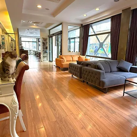 Hotellino Provincia di Istanbul