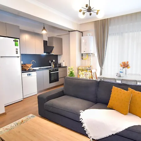 Levent Modern 2-bedroom Apartament