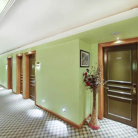 Sidonya 3*