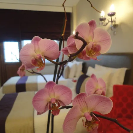 Bakirkoy Tashan Business & Airport Istanbul