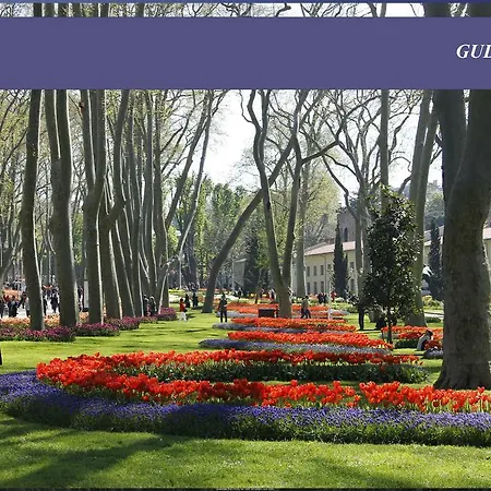Erenler & Provincia di Istanbul