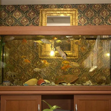 Aquarium Hotel