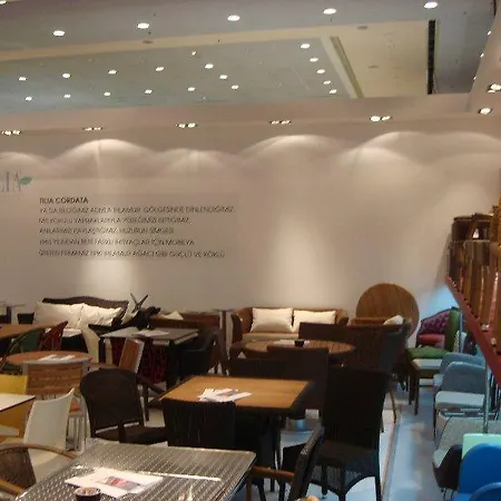 Tilia 4*